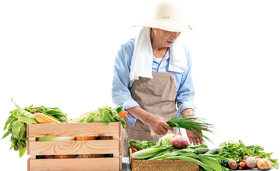 ���r�W�_չ�������